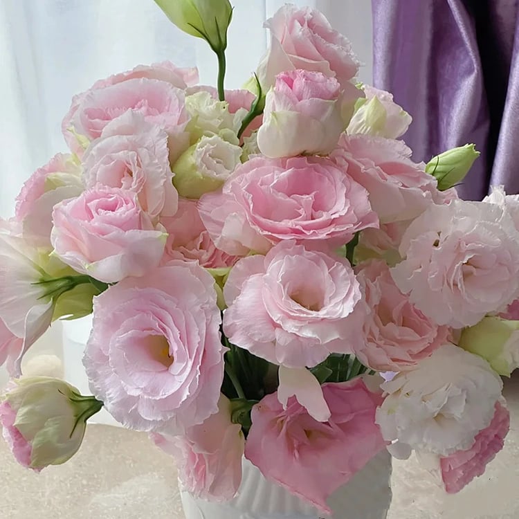 🔥Posljednji dan prodaje💝Eustoma Thornless Rose💐Sjemenke Lisianthusa-HR