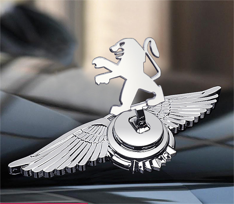 Decoración de modificación de coche con logotipo de capó-ES