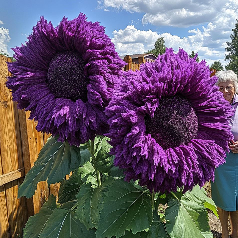 🌻 Adorable oso de peluche gigante Girasol 🔆-ES