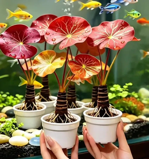 🐟Raíces de loto rojo hidropónico🌿 Convierte tu acuario en un jardín vivo-ES