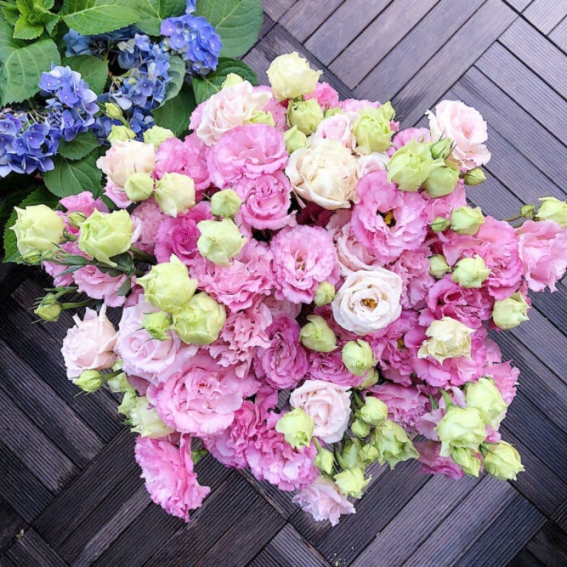🔥Posljednji dan prodaje💝Eustoma Thornless Rose💐Sjemenke Lisianthusa-HR