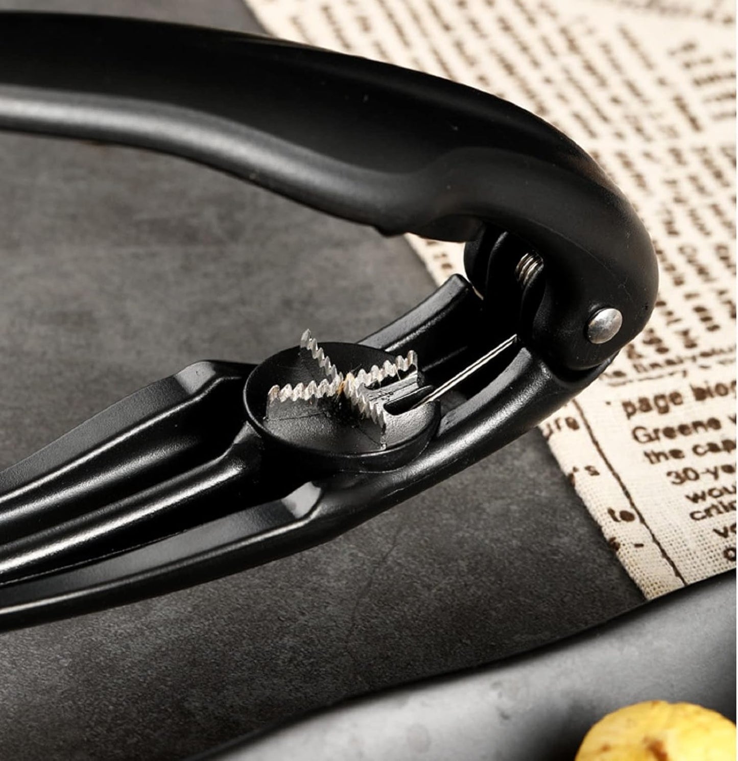Lupilnik kostanja-SI