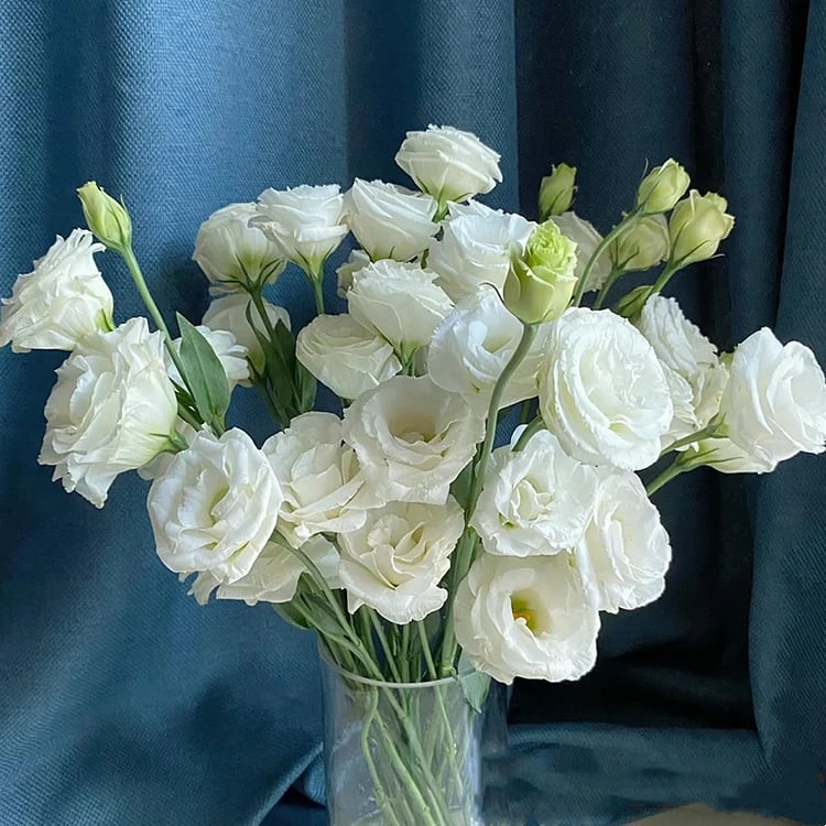 🔥Posljednji dan prodaje💝Eustoma Thornless Rose💐Sjemenke Lisianthusa-HR