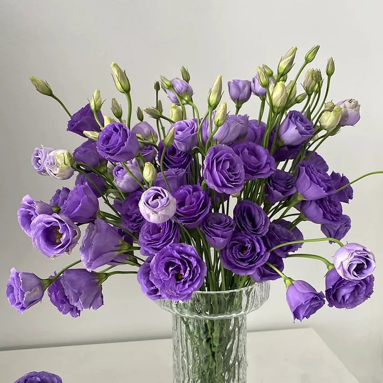 🔥Posljednji dan prodaje💝Eustoma Thornless Rose💐Sjemenke Lisianthusa-HR