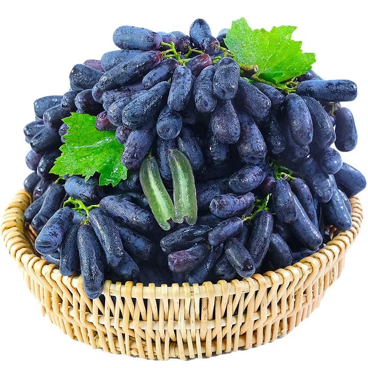 🔥 POSLEDNÝ DEŇ AKCIA 30% ZĽAVA 💜 Sladké zafírové hrozno (vzácne odrody hrozna) 🍇-SK