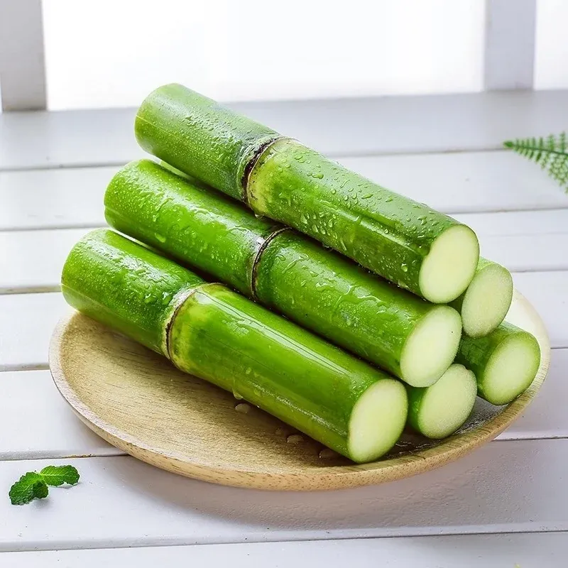 Semillas de caña de azúcar de alto rendimiento: fáciles de cultivar y sobrevivir, perfectas para plantar frutas en casa.-ES