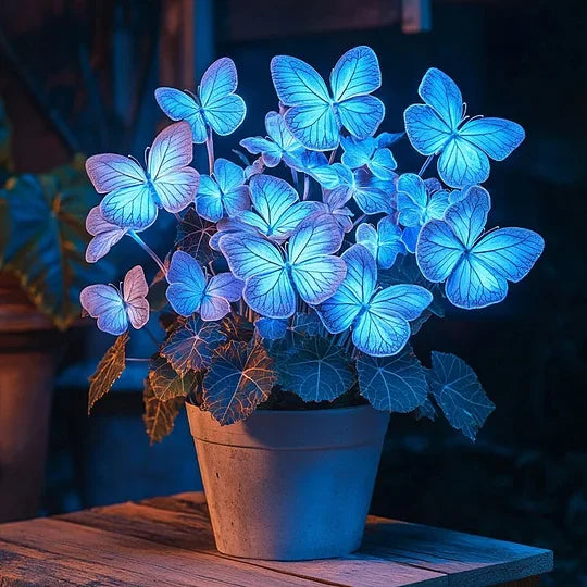 💥 Nove begonije 🦋 Semena metuljaste begonije 🌱 Bonsaj, kot ga še niste videli-SI