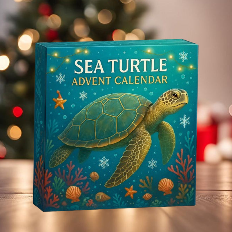 🌊🐢 Adventni koledar morskih želv 2025-GR