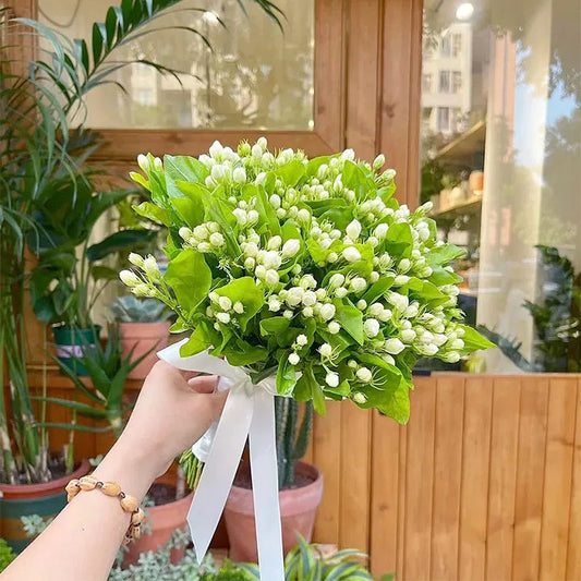 PASKUTINĖS DIENOS akcija – 35 % NUOLAIDA 🌸 Vazoninis augalas su jazminais (🌱Išlikimo garantija: nemokami pakeitimai🌿)-LT