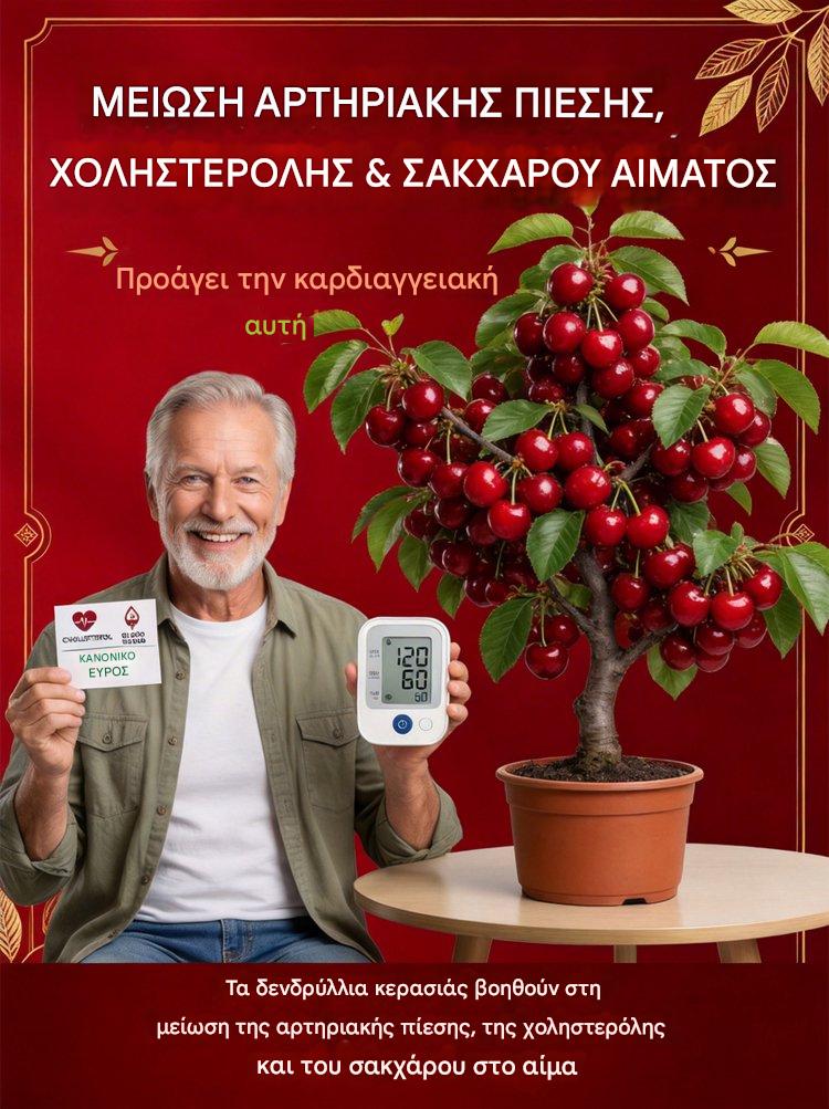 【Φρεσκοκομμένα】Νάνοι δενδρύλλια κερασιάς-GR
