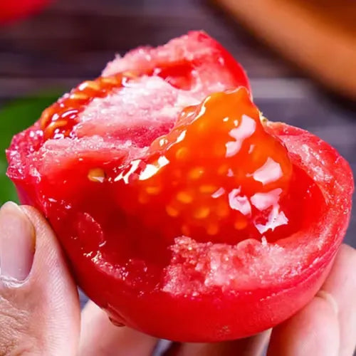 🍅🍅Νανοί σπόροι ντομάτας σε γλάστρες-GR