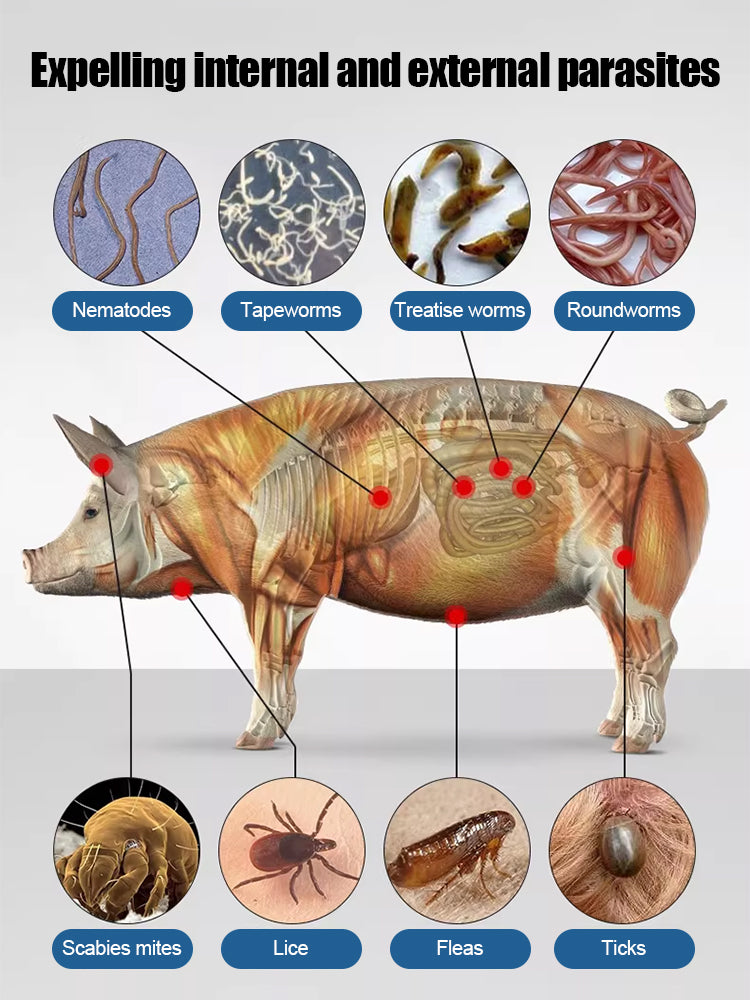 🌿【Zatiranje škodljivcev】🐖🐄🐑 Znebite se pršic pri prašičih, govedu in ovcah, zaščitite njihovo zdravje in pospešite njihovo rast! 💪✨-SI