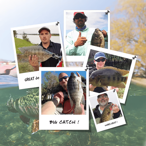 🌊Užvaldyk vandenį: „Ozark Trail“ 5 colių daugiasluoksnis masalas baltiesiems ešeriams🐟-LT
