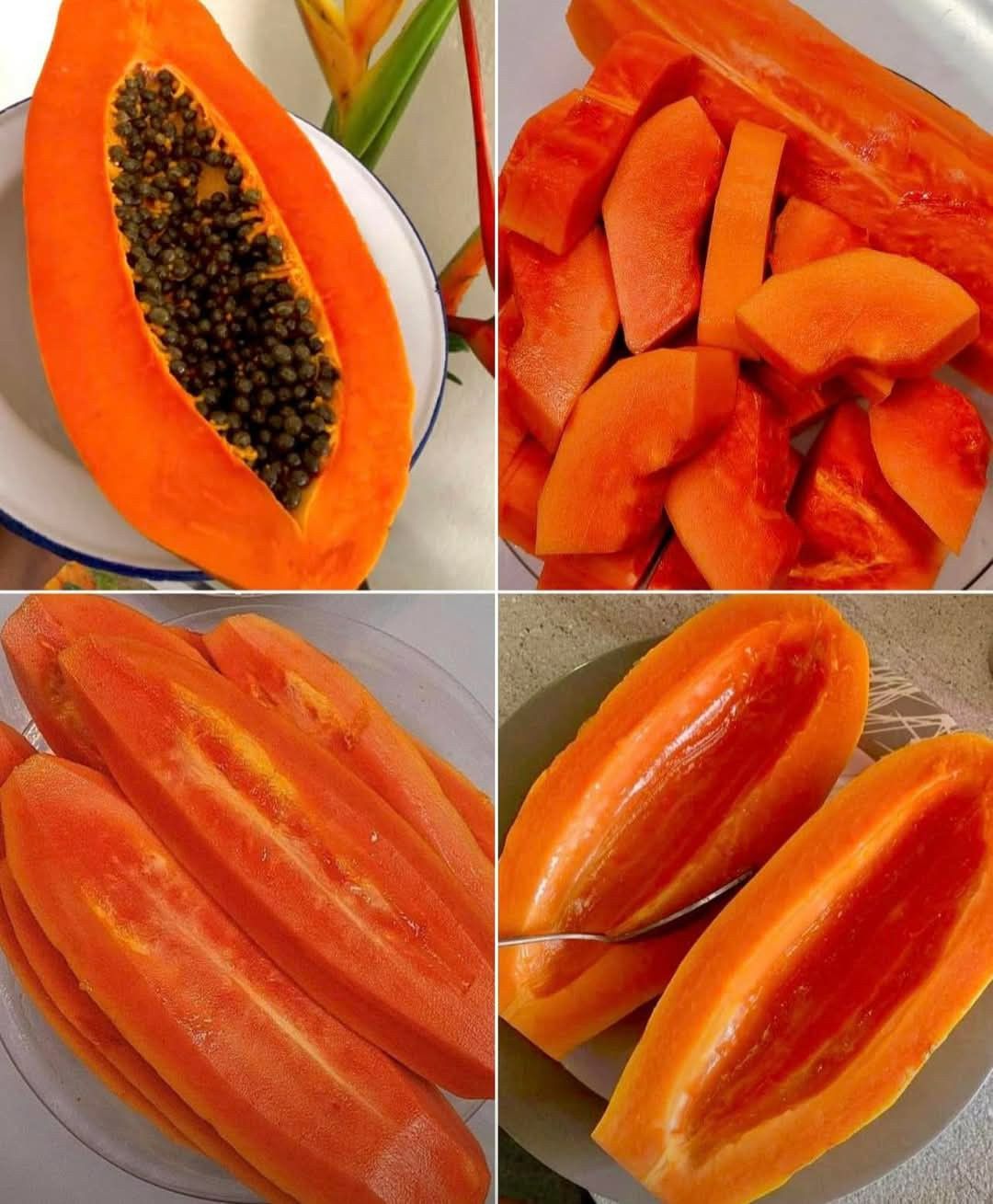 🥭 Redka papaja iz zmajevega kremplja – neguje svoje telo, podpira vsakodnevno dobro počutje-SI