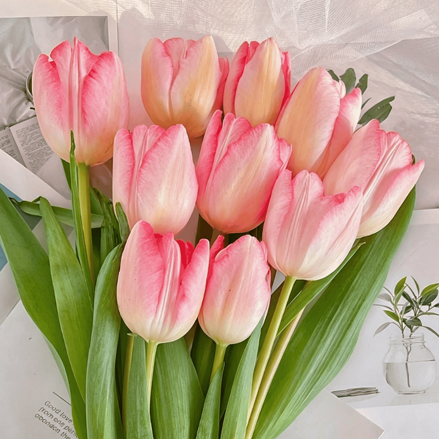 🌷Rijetko sjeme tulipana – šareni proljetni cvjetovi za lonce, obrube i vrtove-HR