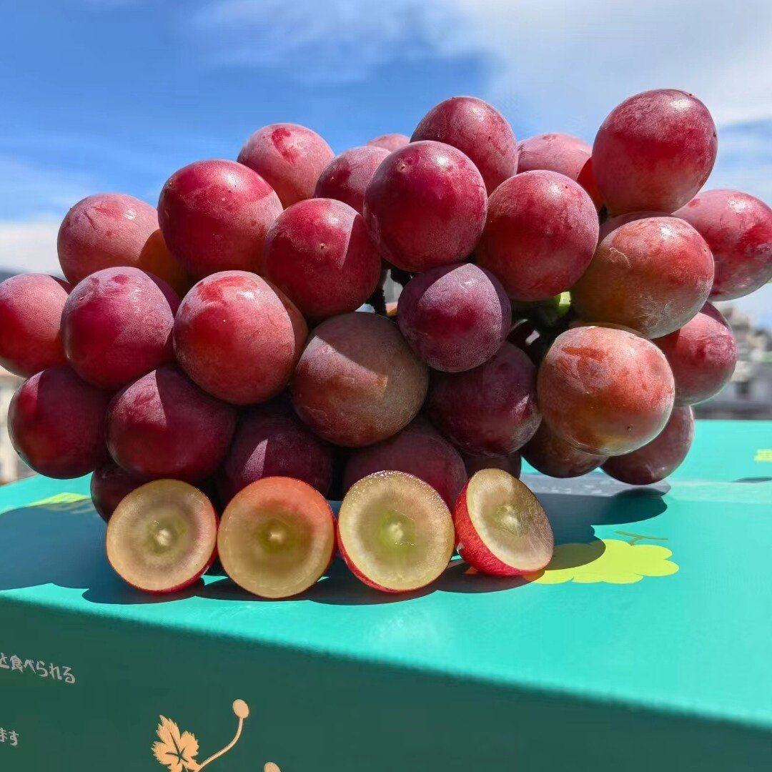 Nueva variedad limitada: semillas de uva Queen Nina para cosechas dulces y jugosas en el jardín 🍇-ES