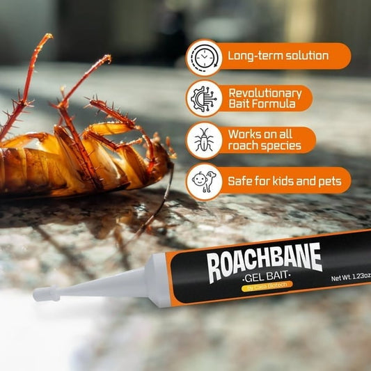 🔥Vroča razprodaja - 49 % POPUSTA🔥Gel vaba RoachBane (nova izboljšana formula)-SI