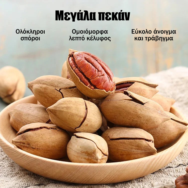 Σπορόφυτα πεκάν εισαγόμενα από την Αμερική-GR