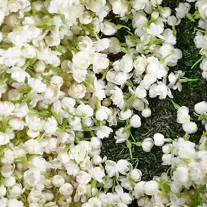 ZADNJI DAN PROMOCIJE 35% POPUSTA 🌸 Jasmin u saksiji (🌱Zajamčeno preživljavanje: Besplatne zamjene🌿)-HR