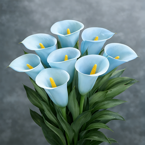 🌷Záhadná kala Aurora-SK