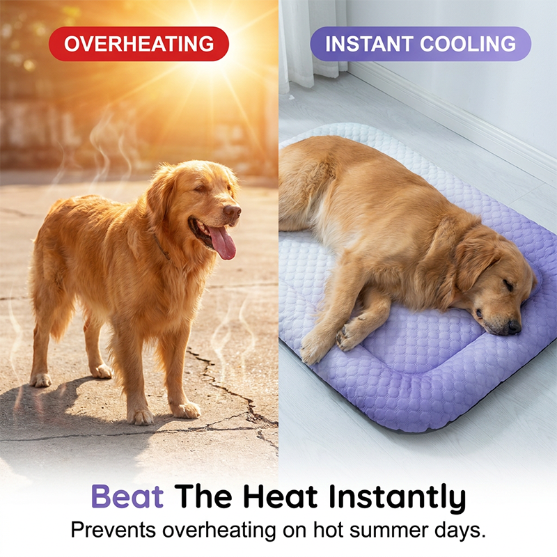 🐶🐱❄️ Vėsinamasis gelis augintiniams, vėsinantis, kvėpuojantis, netoksiškas įklotas šunims ir katėms – LT