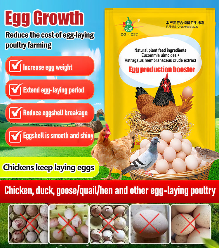 【2/4/6/8 vnt.】 🦆🐓Maisto papildas vištų, ančių ir žąsų kiaušinių gamybai. Maisto papildas šerti.-LT