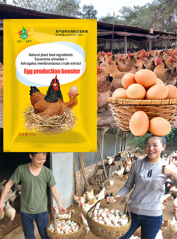 【2/4/6/8 vnt.】 🦆🐓Maisto papildas vištų, ančių ir žąsų kiaušinių gamybai. Maisto papildas šerti.-LT
