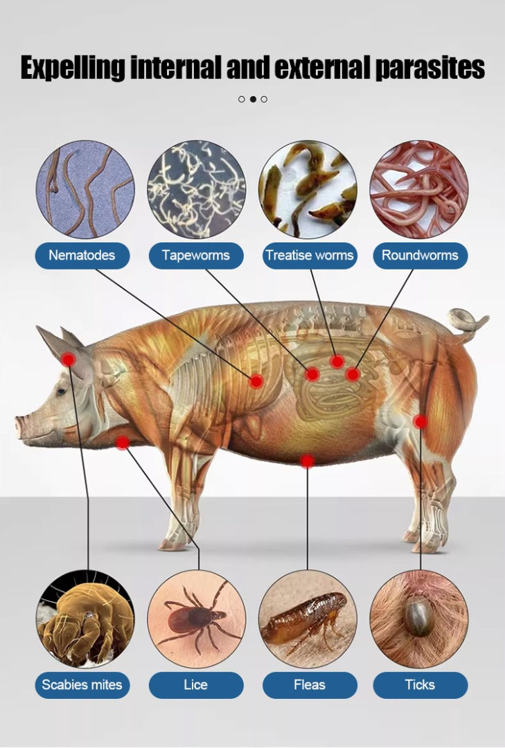 🌿【Zatiranje škodljivcev】🐖🐄🐑 Znebite se pršic pri prašičih, govedu in ovcah, zaščitite njihovo zdravje in pospešite njihovo rast! 💪✨-SI
