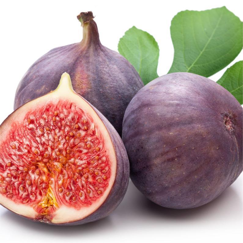 SweetHarvest figų sėklos-LT