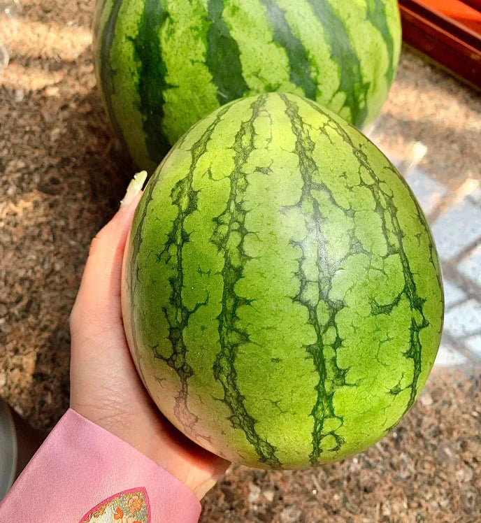🍉Varakevadine punane jade – magus arbuus, mis rõõmustab kogu pere-EE