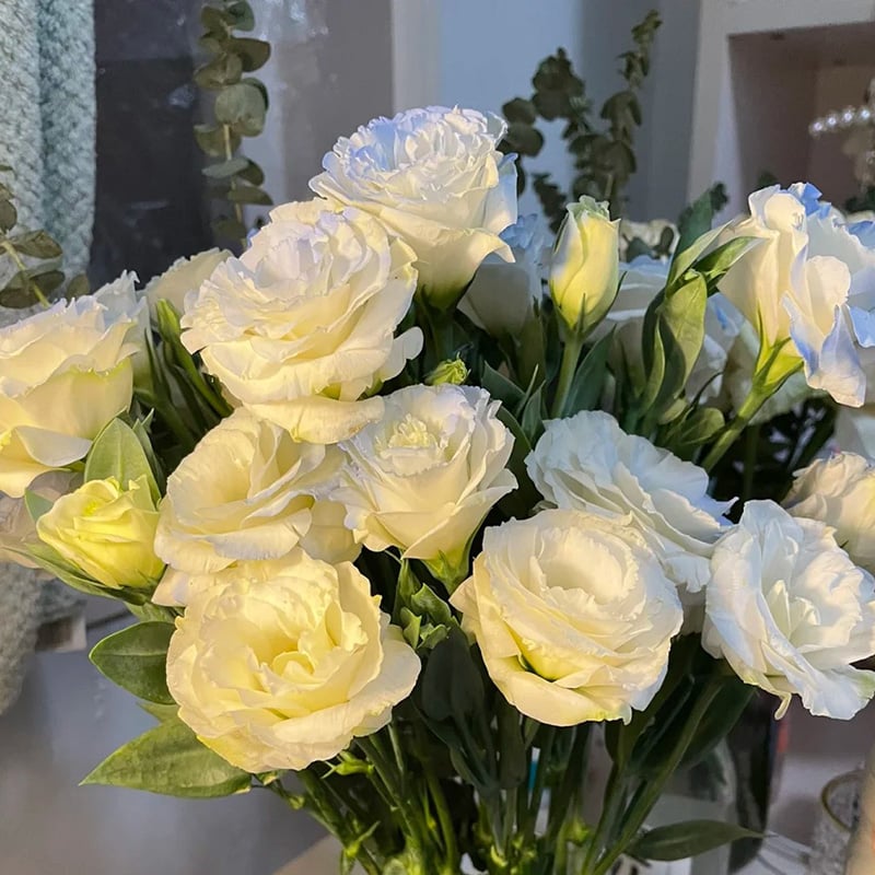 🔥Posljednji dan prodaje💝Eustoma Thornless Rose💐Sjemenke Lisianthusa-HR