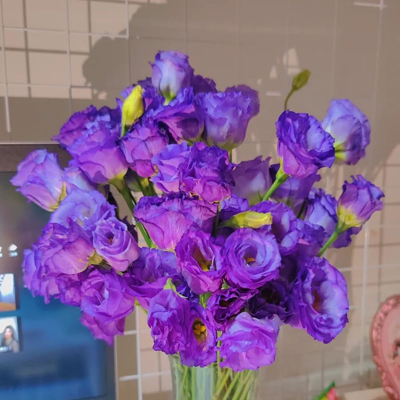 🔥Posljednji dan prodaje💝Eustoma Thornless Rose💐Sjemenke Lisianthusa-HR