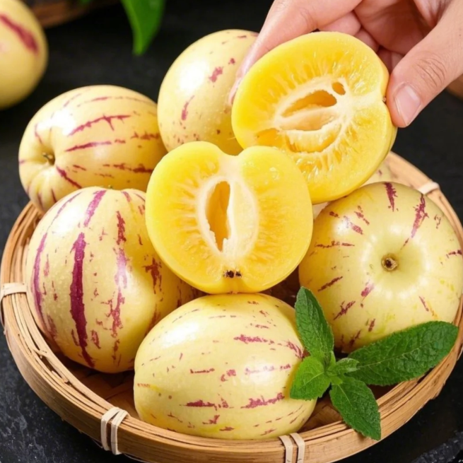 Voće ginsenga Pepino Sjemenke dinje-Solanum Muricatum-HR
