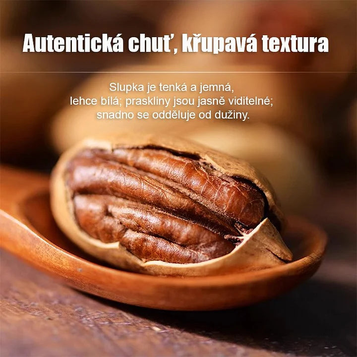 Americké importované sadenice pekanových orechov-SK