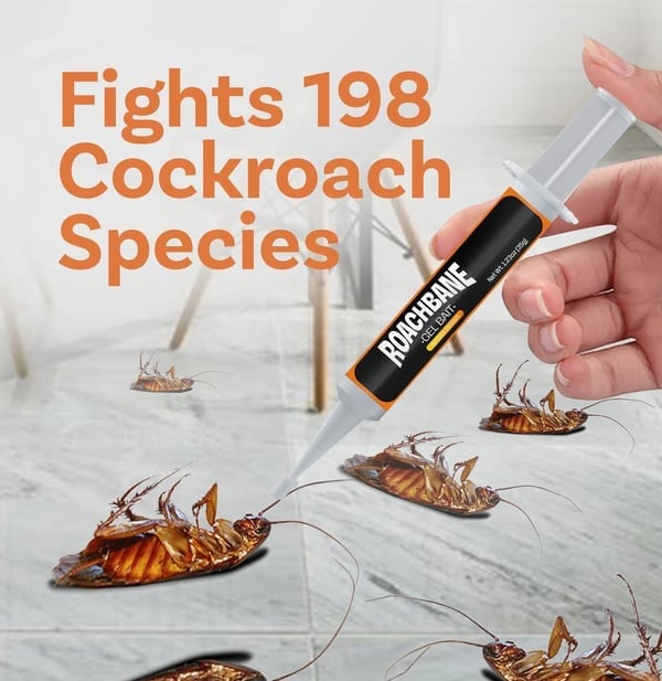 🔥Vroča razprodaja - 49 % POPUSTA🔥Gel vaba RoachBane (nova izboljšana formula)-SI