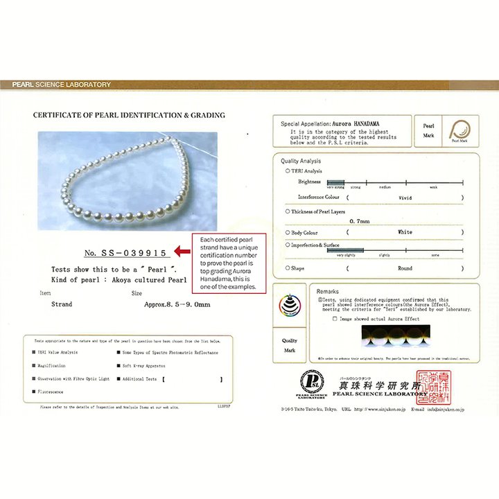 Japan AAAA - Akoya biserna ogrlica-HR