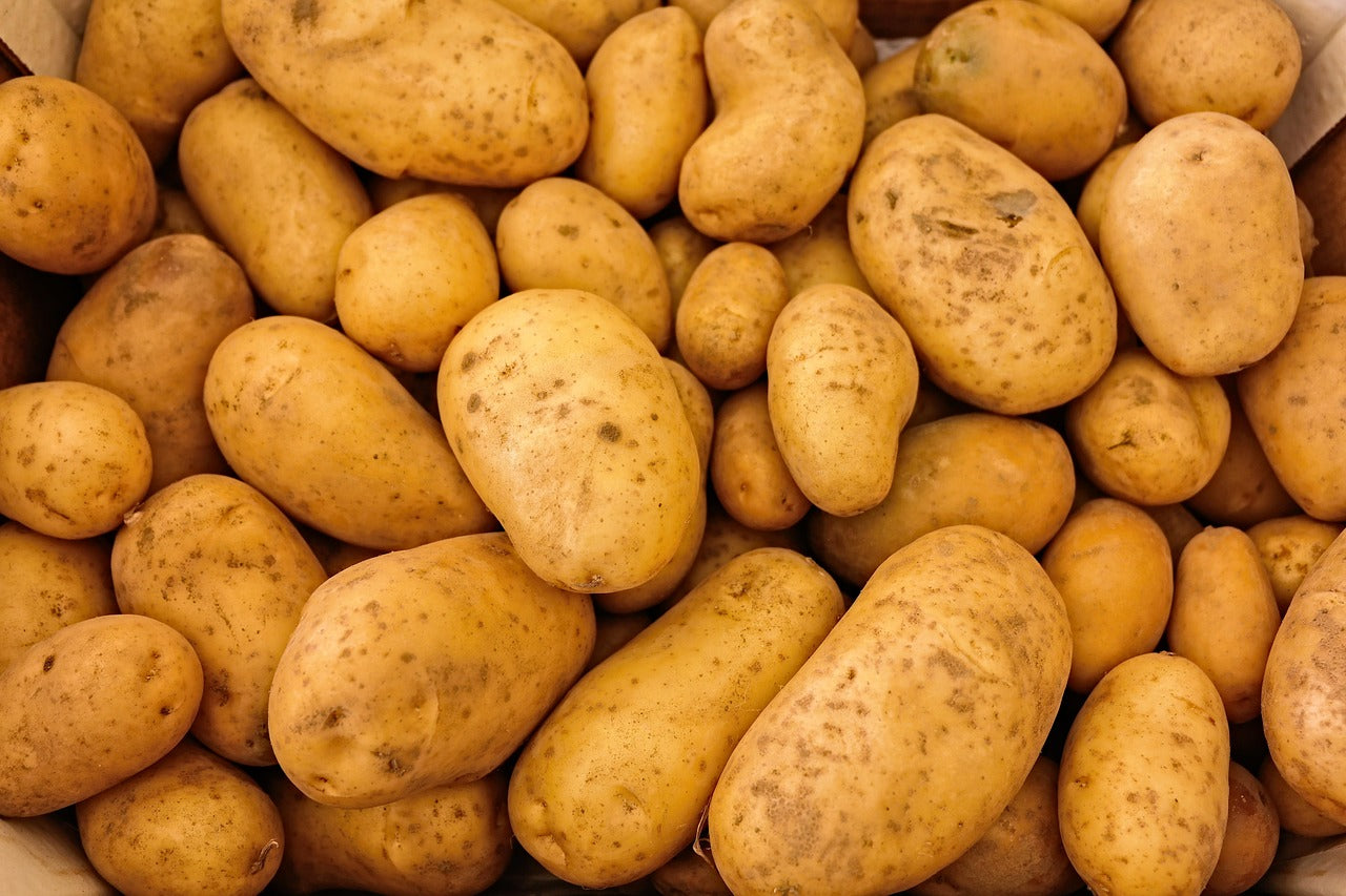 🔥Semená zemiakov rastúce na stromoch🥔Lenivé semená-sk