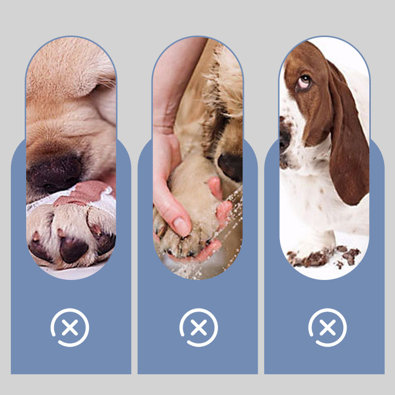 🐶2 poros neslystančių vandeniui atsparių šunų kojinių-LT