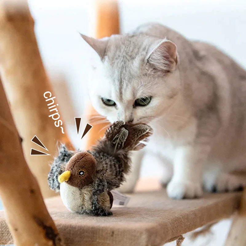 🐱 ΕΝΗΜΕΡΩΜΕΝΟ ΠΑΙΧΝΙΔΙ ΓΑΤΑΣ ΠΟΥ ΜΑΓΟΥΡΕΥΕΙ🐦-GR