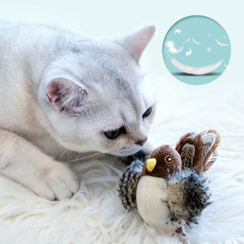 🐱 ΕΝΗΜΕΡΩΜΕΝΟ ΠΑΙΧΝΙΔΙ ΓΑΤΑΣ ΠΟΥ ΜΑΓΟΥΡΕΥΕΙ🐦-GR