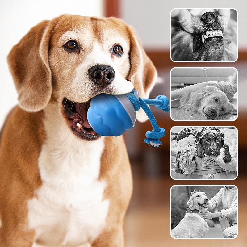 Pelota electrónica interactiva calmante para mascotas-ES