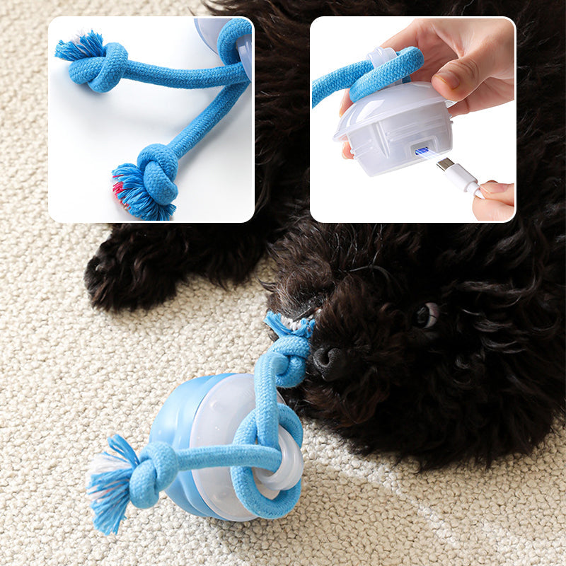Pelota electrónica interactiva calmante para mascotas-ES