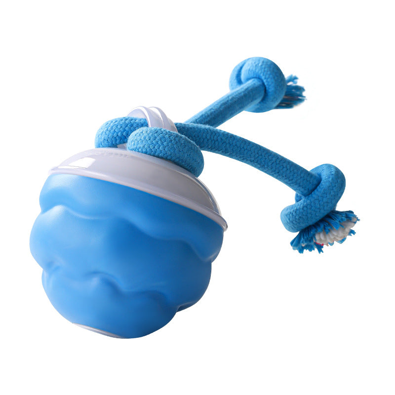 Pelota electrónica interactiva calmante para mascotas-ES