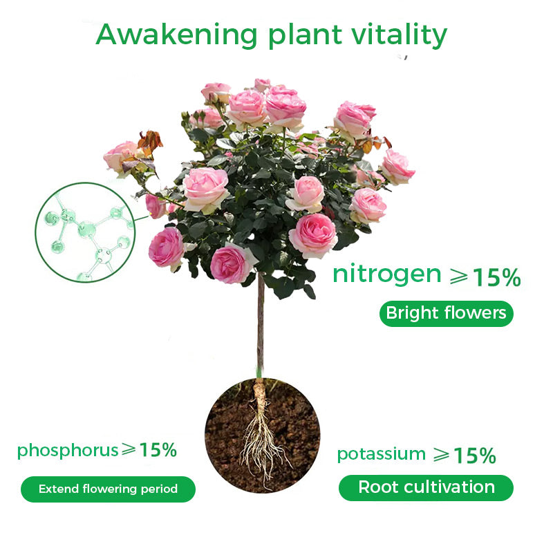 🌱Ziedēšanas pastiprinātāja pulveris | Ātra sakņu augšana + lielāki ziedi!🌸-LV