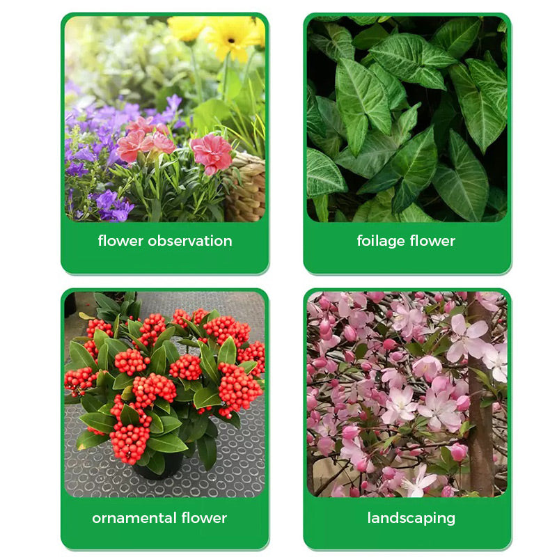 🌱Ziedēšanas pastiprinātāja pulveris | Ātra sakņu augšana + lielāki ziedi!🌸-LV