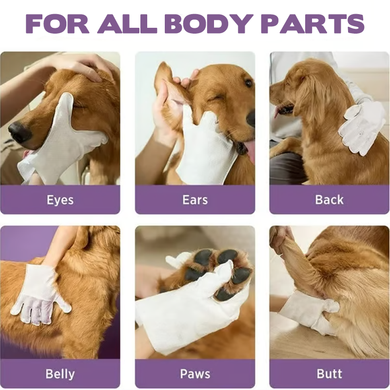 Guantes desodorizantes para limpieza de mascotas sin enjuague-ES