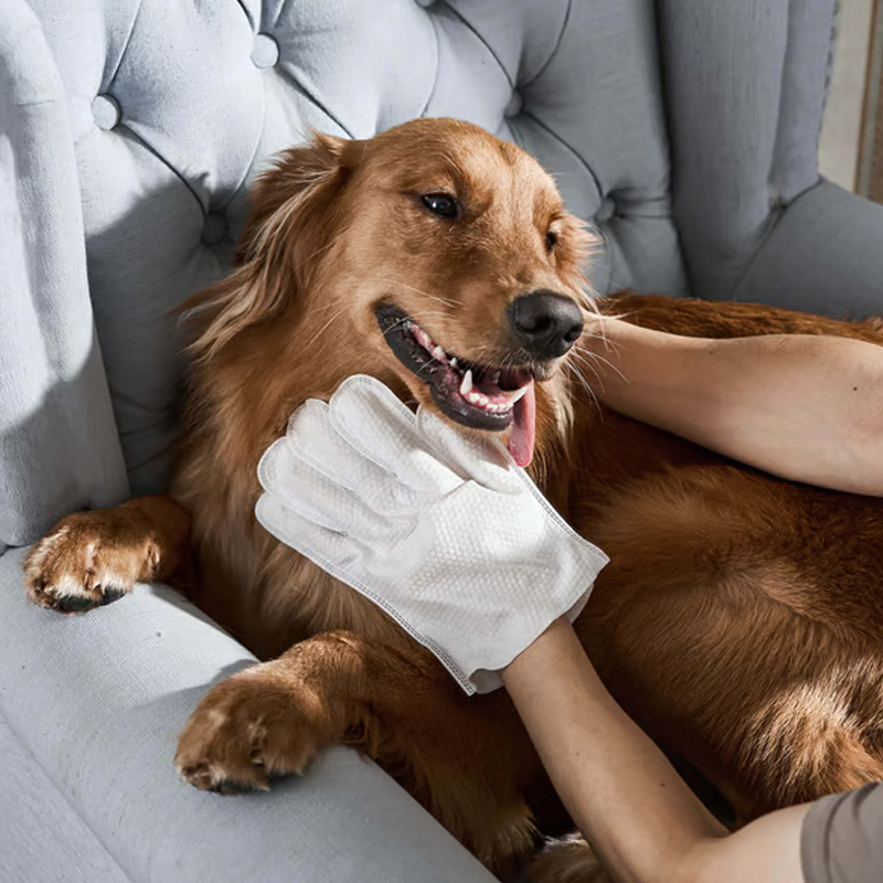 Guantes desodorizantes para limpieza de mascotas sin enjuague-ES