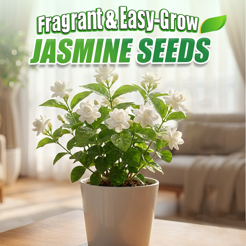 ✨🌸Semillas de jazmín (con fertilizante): aromáticas y fáciles de cultivar🍃-ES