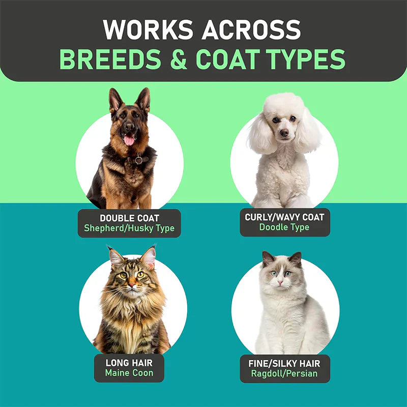 😺🐶1+1 nemokamai🧹 Dvipusės šukos katėms ir šunims🐾-LT